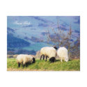 WELSH FARM GIRLS UK postcards