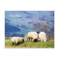 WELSH FARM GIRLS UK postcards by thewildside WELSH FARM GIRLS UK postcards