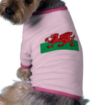 Welsh Flag pet clothing
