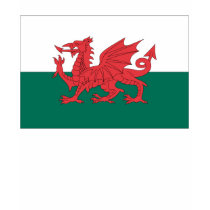 Welsh Flag t-shirts