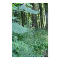 Welsh Forest posters