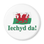 Welsh Iechyd da (Cheers!) magnets