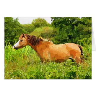 WELSH MOUNTAIN PONY CARD