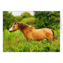 WELSH MOUNTAIN PONY CARD
