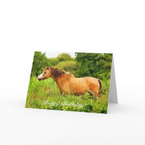 WELSH MOUNTAIN PONY GREETING CARD