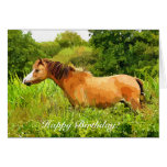 WELSH MOUNTAIN PONY GREETING CARD