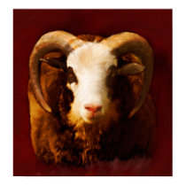 welsh mountain sheep posters by nightsky welsh mountain sheep posters