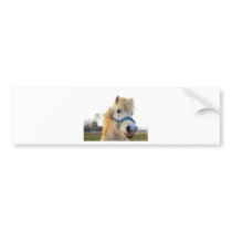 welsh pony bumper stickers by Ljrigg welsh pony bumper stickers