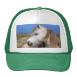 Welsh Pony Hats