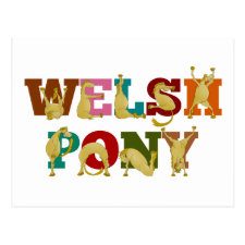 Welsh Pony with colorful text Postcard