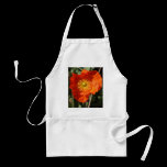 Welsh Poppy (Orange) aprons
