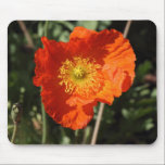Welsh Poppy (Orange) mousepads