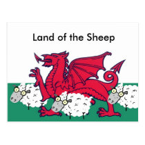 welsh sheep, Land of the Sheep Postcards