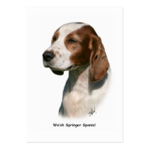 Welsh Springer Spaniel 9Y394D-046 business cards by TraffordPhotos Welsh Springer Spaniel 9Y394D-046 business cards