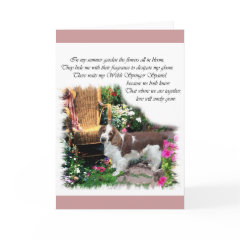 Welsh Springer Spaniel Art Gifts card