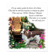 Welsh Springer Spaniel Art Print