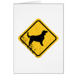 Welsh Springer Spaniel Greeting Card