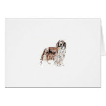 Welsh Springer Spaniel Greeting Cards