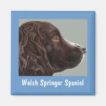 Welsh Springer Spaniel magnet
