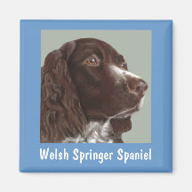 Welsh Springer Spaniel magnet