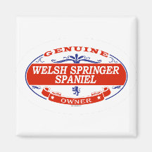 WELSH SPRINGER SPANIEL_ MAGNETS