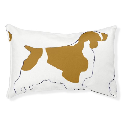 What Size Dog Bed For Springer Spaniel What Size Dog Bed For Springer Spaniel