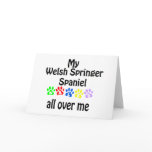 Welsh Springer Spaniel Walks Design
