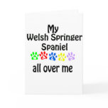 Welsh Springer Spaniel Walks Design