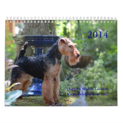 Welsh Terrier 2014 Calendar by Darwyn Welsh Terrier 2014 Calendar by Darwyn