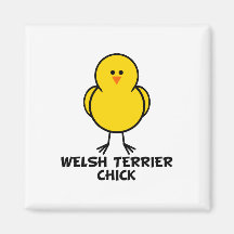 Welsh Terrier Chick Fridge Magnet