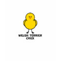 Welsh Terrier Chick t-shirts