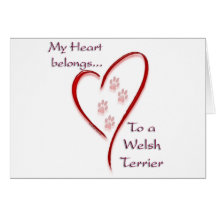 Welsh Terrier Heart Belongs Cards