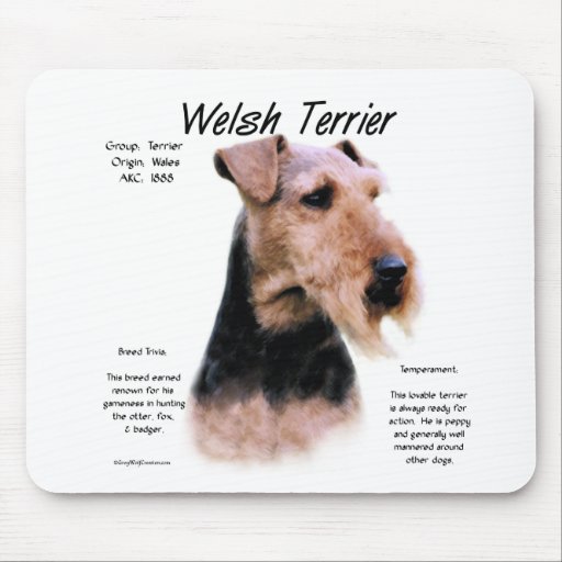 Welsh Terrier History Design Mousepad