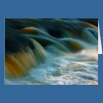 Welsh Water Card cards