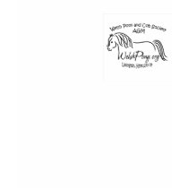 WelshPonyLogobrandnew10x10 t-shirts