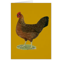 Welsummer Hen Cards