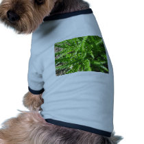 Welted Thistle pet clothing