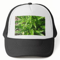 Welted Thistle hats