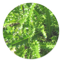 Welted Thistle stickers