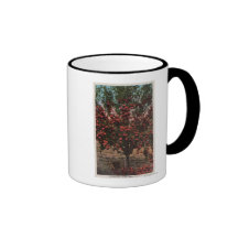Wenatchee, WAA Wenatchee Valley Apple Tree Mug