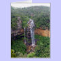 aust cards