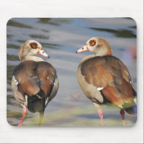 We're being watched mousepads
