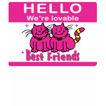 We're Best Friends t-shirts