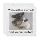 We're getting married!, and you're invited! invitations by littleblondehair We're getting married!, and you're invited! invitations