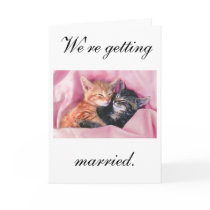 We're getting married. Wedding Invitation cards
