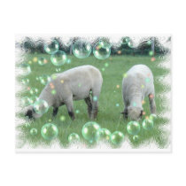 We're Having A Party Animals postcards