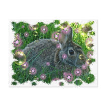 We're Having A Party Bunny postcards