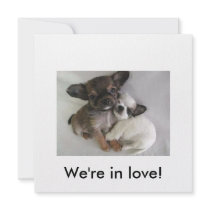 We're in love! invitations