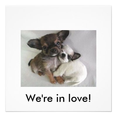 We're in love! personalized announcement