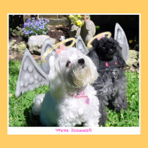 We're Innocent! posters